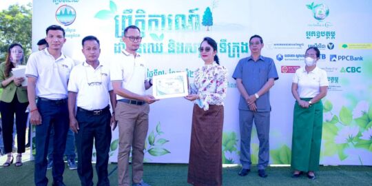 Tree Planting and City Clean
